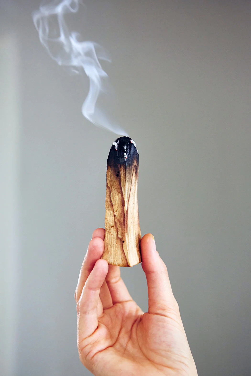 Palo Santo (1 stick) Incense Wood