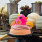 Monster Bash Halloween Bubble Truffle Duckie