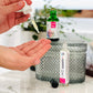 A person's hands holding a dropper bottle of Radiance Retinol Alternative Face Serum, with a plant background and a different bottle in the background.