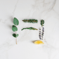 blend of eucalyptus, lemon, frankincense and fir pine on a white marbel counter top