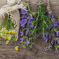 a cluster of lavender, orange, chamomile, clary sage and rosemary on a wooden surface 