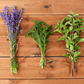 Four different fresh plants, including lavender and mint, tied and placed on a wooden surface.