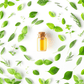 A glass bottle containing essential oil, surrounded by various green leaves and plants.